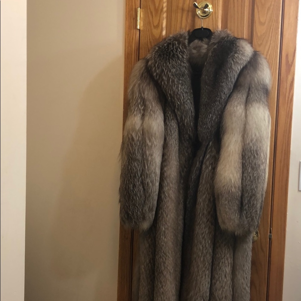 DION FUR